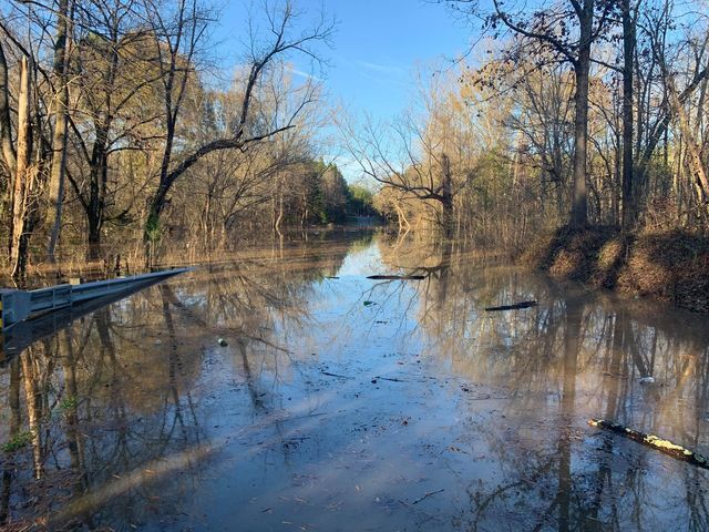 Clover Road submitted by Shantell Wooden-1.jpg
